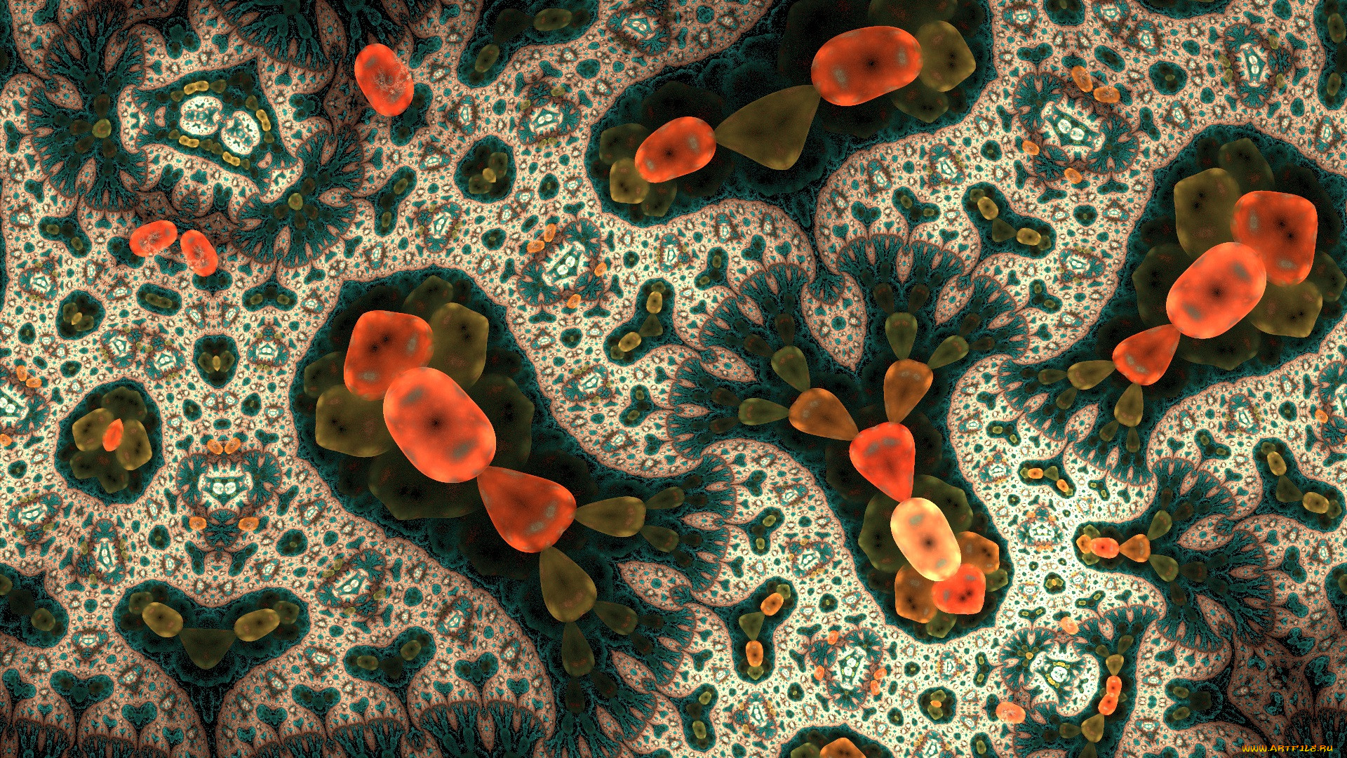 3 ,  , fractal, , , 